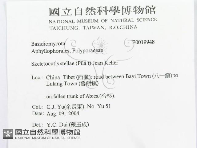 登錄號:F0019948藏品圖，第3張