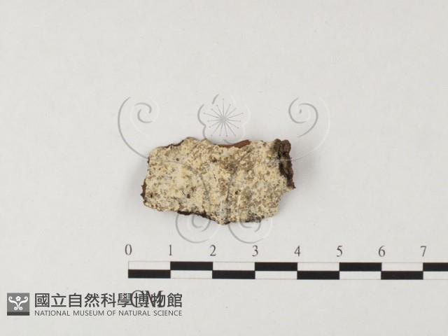 登錄號:F0026648藏品圖，第1張