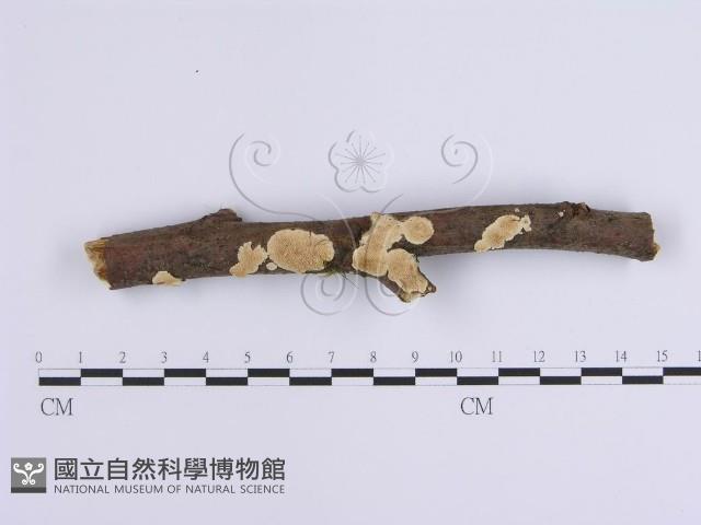 登錄號:F0001648藏品圖，第1張