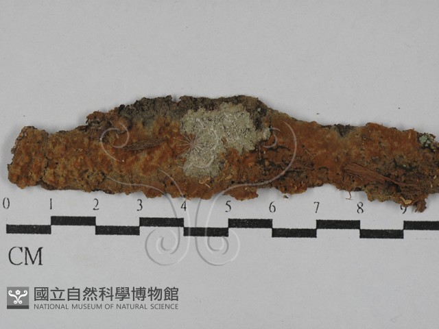 登錄號:F0029648藏品圖，第1張