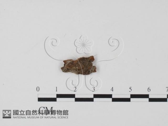 登錄號:F0019648藏品圖，第1張