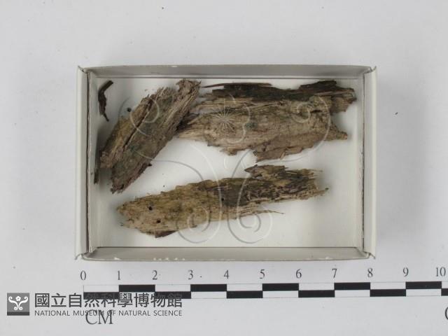 登錄號:F0018448藏品圖，第1張