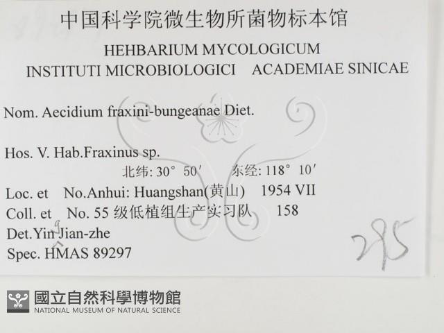 登錄號:F0026448藏品圖，第3張