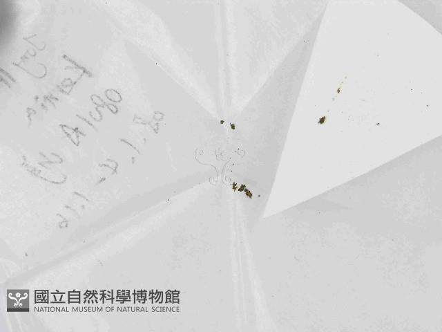 登錄號:F0021448藏品圖，第1張