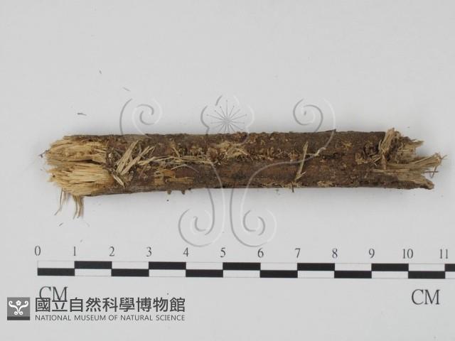 登錄號:F0001448藏品圖，第1張
