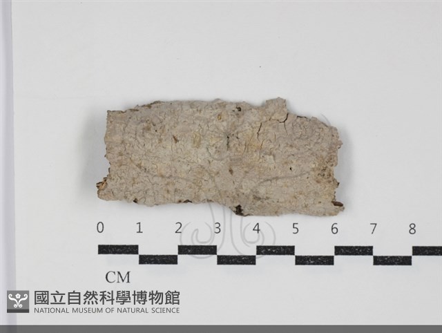 登錄號:F0034448藏品圖，第1張