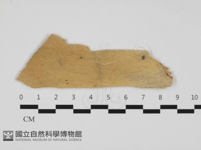 登錄號:F0032448藏品圖，第1張