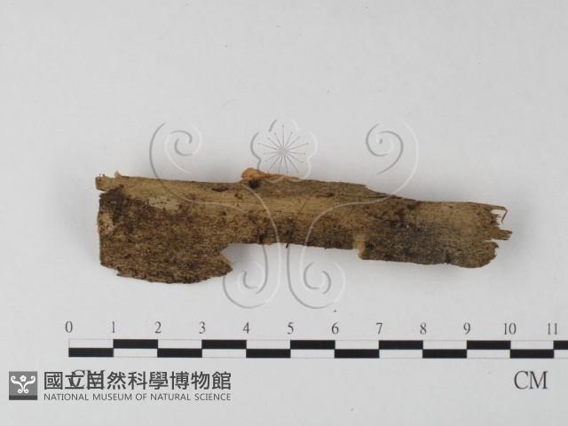 登錄號:F0025448藏品圖，第1張