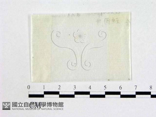 登錄號:F0000748藏品圖，第1張