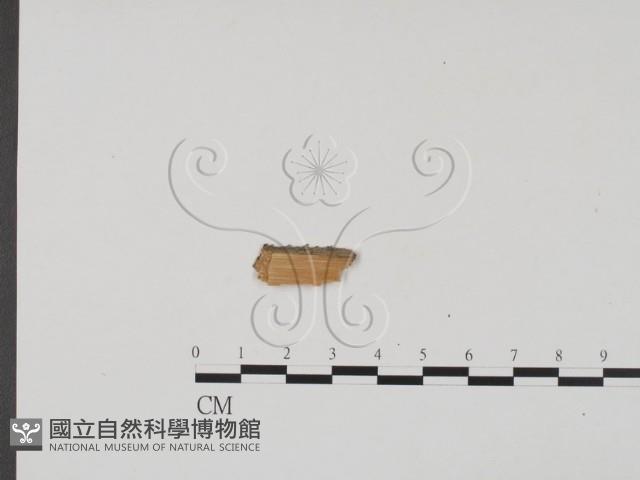 登錄號:F0011748藏品圖，第1張