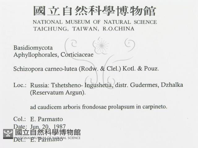 登錄號:F0015748藏品圖，第3張