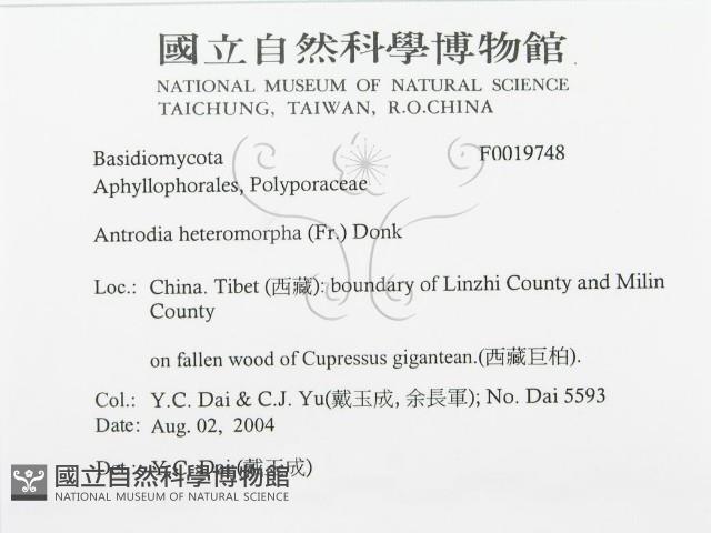 登錄號:F0019748藏品圖，第3張