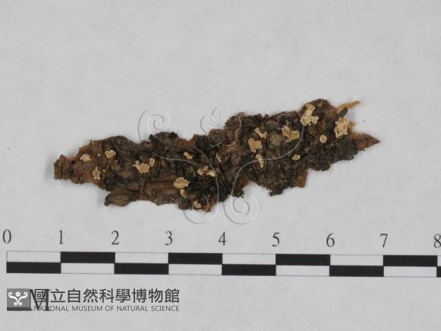 登錄號:F0023748藏品圖，第1張