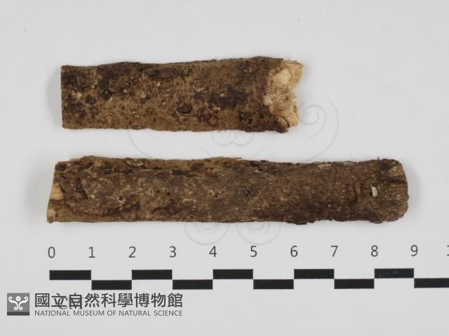 登錄號:F0013748藏品圖，第1張
