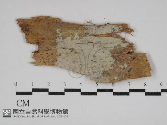 登錄號:F0030548藏品圖，第1張