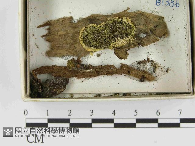 登錄號:F0021548藏品圖，第1張