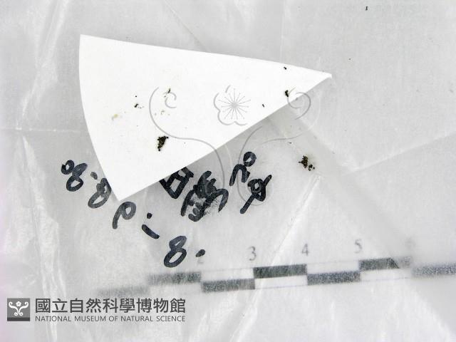 登錄號:F0022548藏品圖，第1張