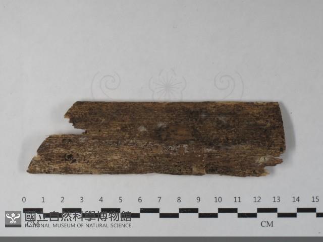 登錄號:F0033548藏品圖，第1張