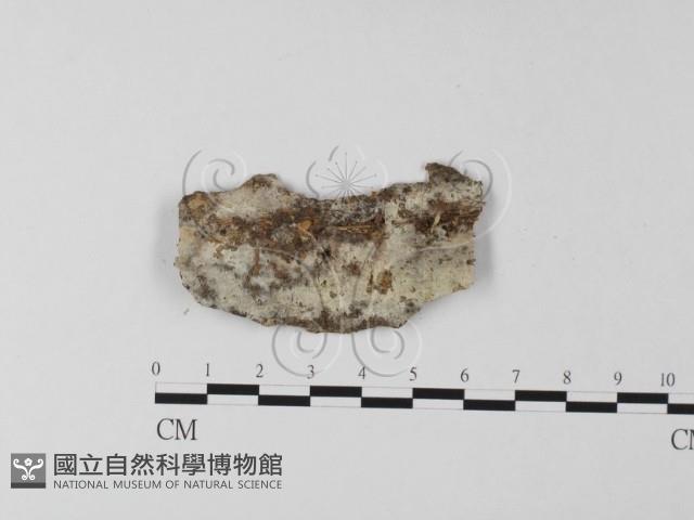 登錄號:F0020148藏品圖，第1張