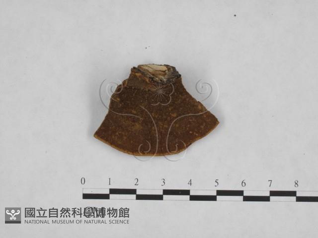 登錄號:F0006148藏品圖，第1張