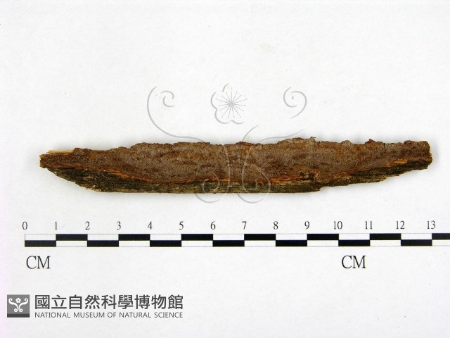 登錄號:F0014148藏品圖，第1張