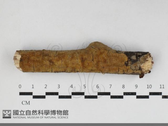 登錄號:F0034148藏品圖，第1張