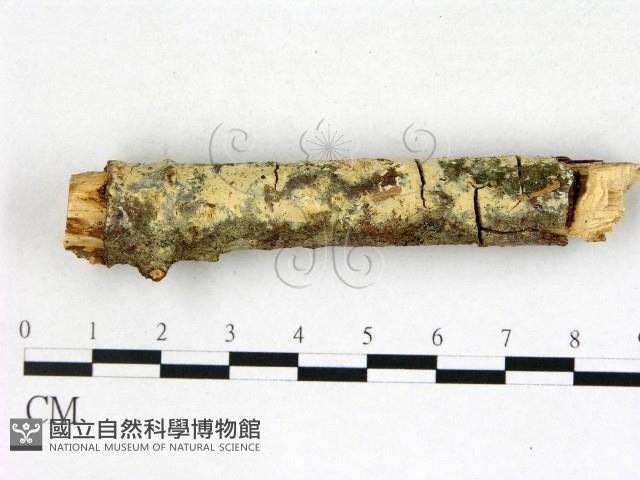 登錄號:F0003148藏品圖，第1張