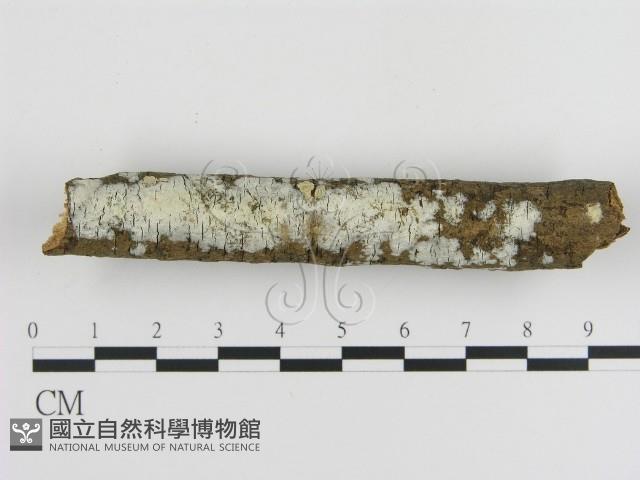 登錄號:F0000048藏品圖，第1張