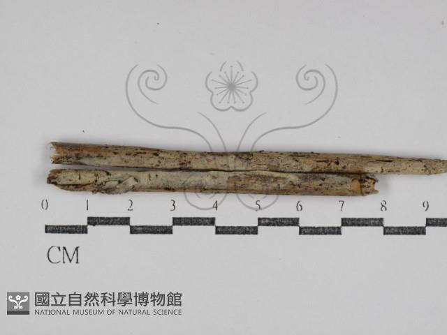 登錄號:F0031048藏品圖，第1張