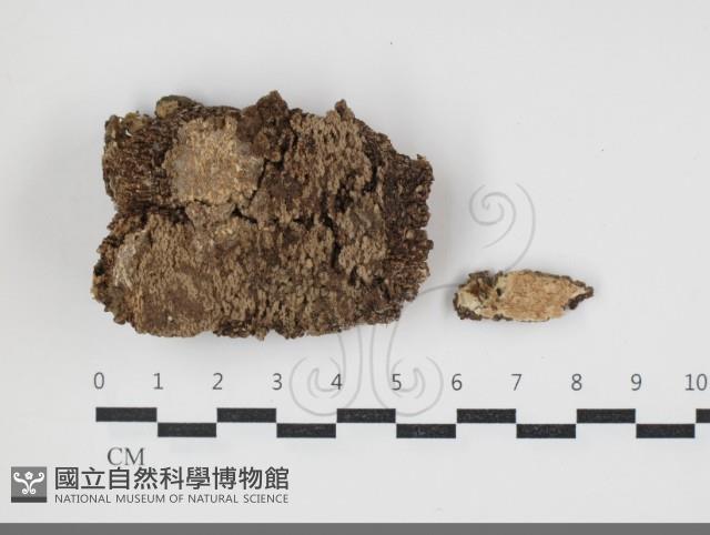 登錄號:F0034048藏品圖，第1張