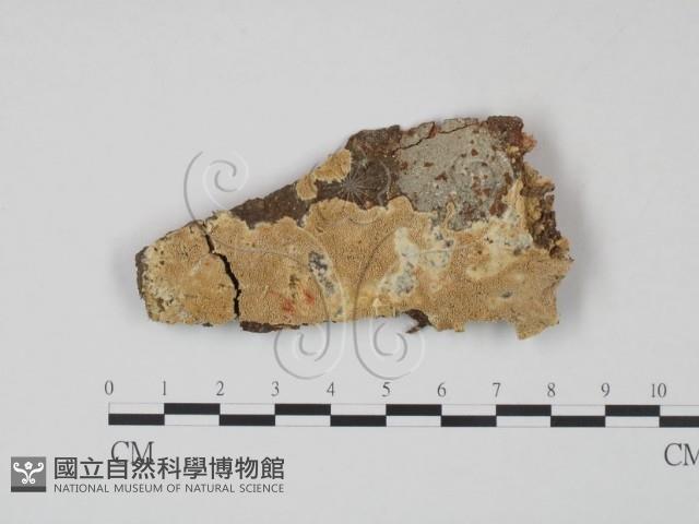 登錄號:F0022048藏品圖，第1張