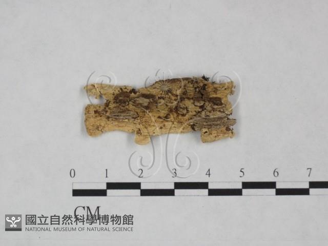 登錄號:F0025048藏品圖，第1張