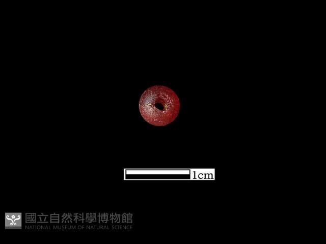 玻璃珠藏品圖，第1張