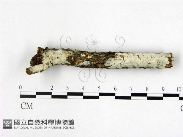 登錄號:F0022348藏品圖，第1張