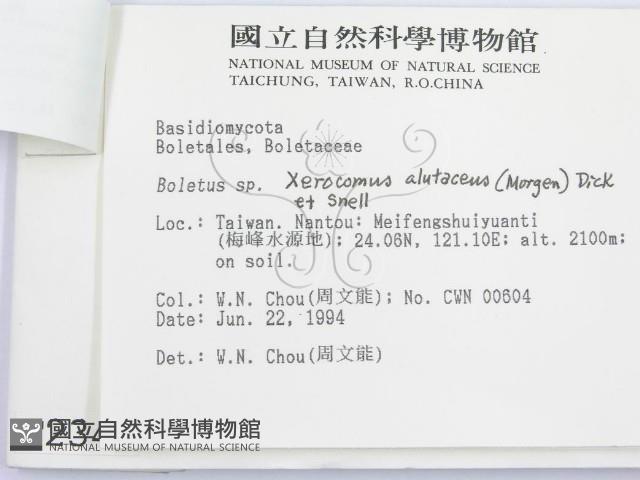 登錄號:F0002348藏品圖，第3張