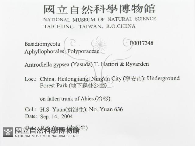 登錄號:F0017348藏品圖，第3張