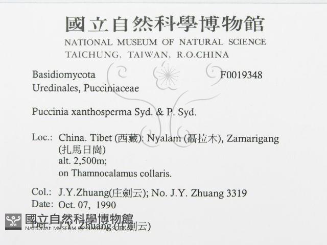 登錄號:F0019348藏品圖，第3張