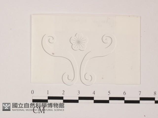 登錄號:F0000238藏品圖，第1張