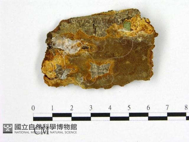 登錄號:F0006238藏品圖，第1張