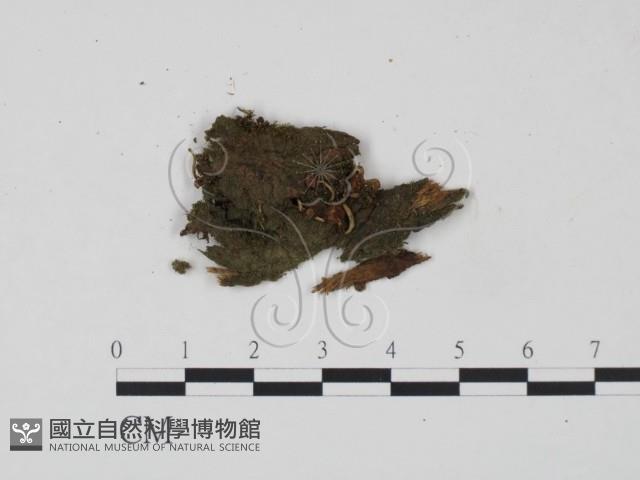 登錄號:F0001238藏品圖，第1張