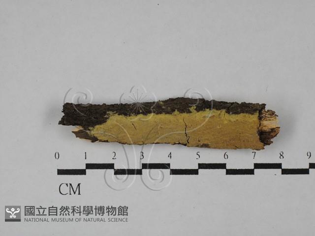登錄號:F0029238藏品圖，第1張