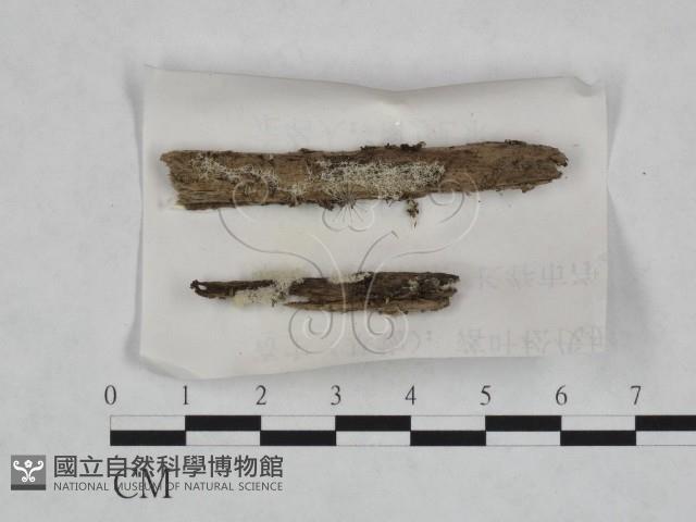 登錄號:F0023238藏品圖，第1張