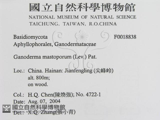 登錄號:F0018838藏品圖，第3張