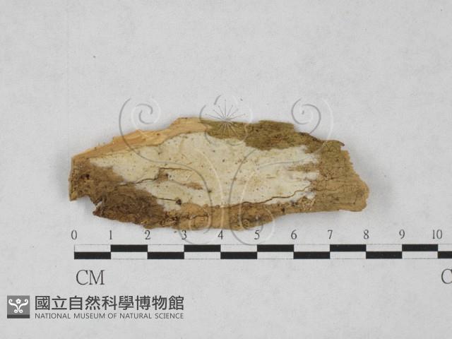 登錄號:F0027838藏品圖，第1張