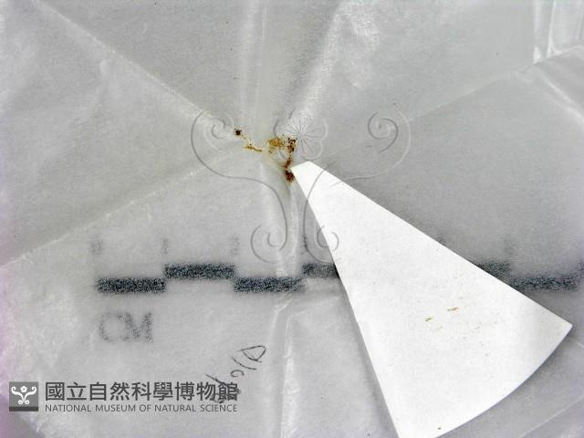 登錄號:F0020938藏品圖，第1張