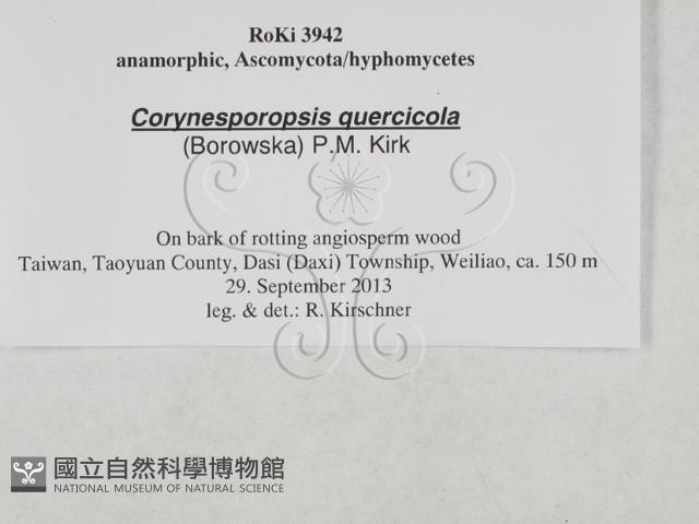 登錄號:F0027938藏品圖，第3張