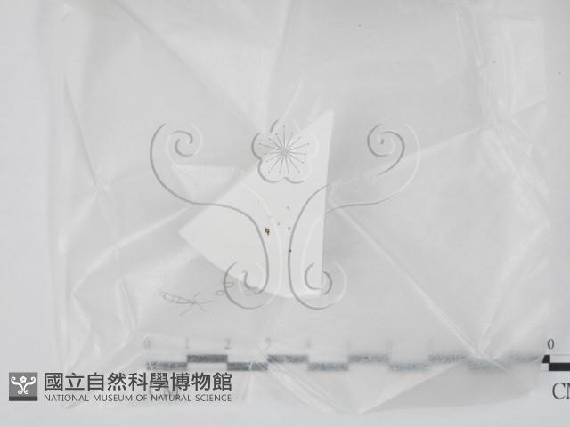 登錄號:F0020638藏品圖，第1張