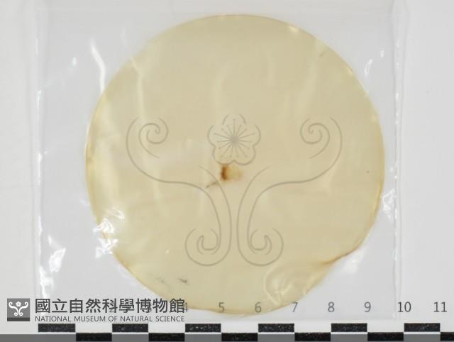 登錄號:F0034638藏品圖，第1張