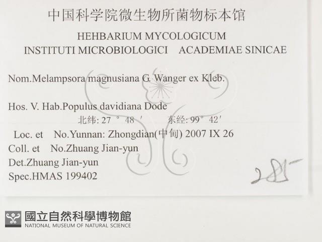 登錄號:F0026438藏品圖，第3張