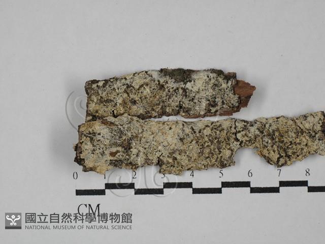 登錄號:F0029438藏品圖，第1張